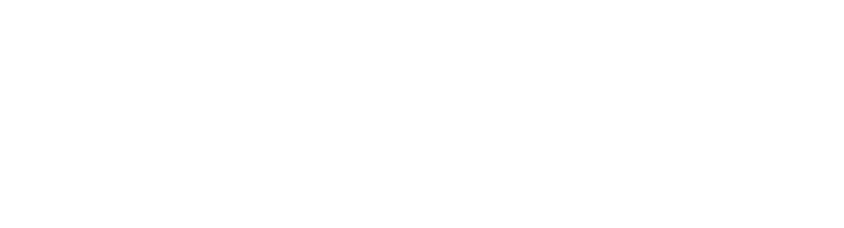 DOUBLE LEVEL